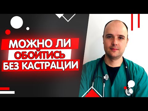 Можно ли не кастрировать кота