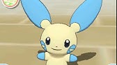 ポケパルレ ムックルと戯れるだけの動画 Youtube ポケパルレ ムックルと戯れるだけの動画 Youtube