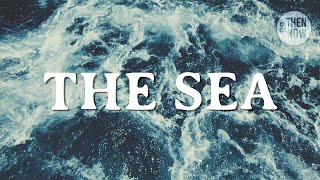 What the Sea can Teach us About Ourselves