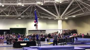 Tyler Schmidt - Parallel Bars - State 2018