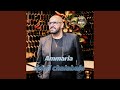 Ammaria Ammaria