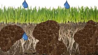 This video shows the many benefits that ozone and oxygen treated ir...