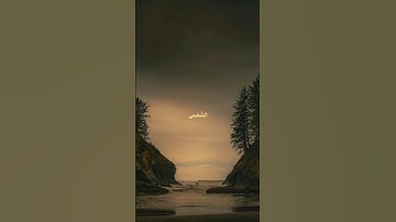 القارئ محمد ايوب #القران #اكسبلور #راحة_نفسية #المصحف #الرحمن #لايك #الرحمن