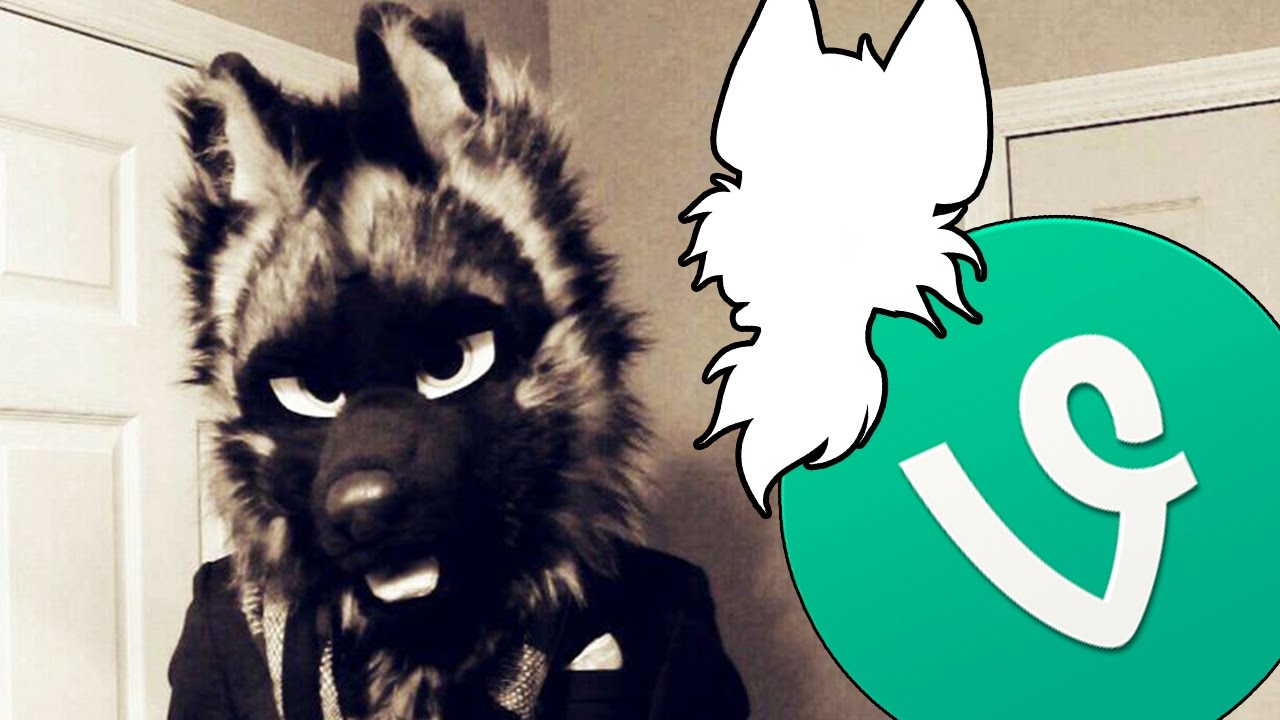 Fixion: Complete (yet short) Furry Vine Compilation