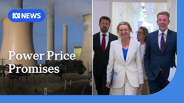 Sussan Ley insists ditching net zero will deliver cheaper power | ABC NEWS