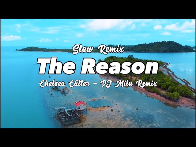 ADEM !!!  DJ Milu - The Reason - Chelsea Cutler - Slow Remix ( New Remix ) class=