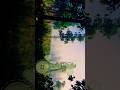 Pemandangan Minecraft Realistis💚✨#minecraftshorts#pemandanganindah#semogarame#semogaadayangsubscribe