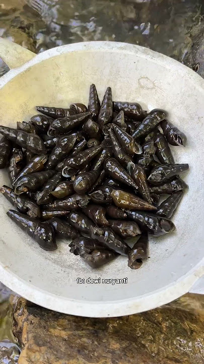 the joy of being at one with nature and cooking the langaung of our catch on the riverbank