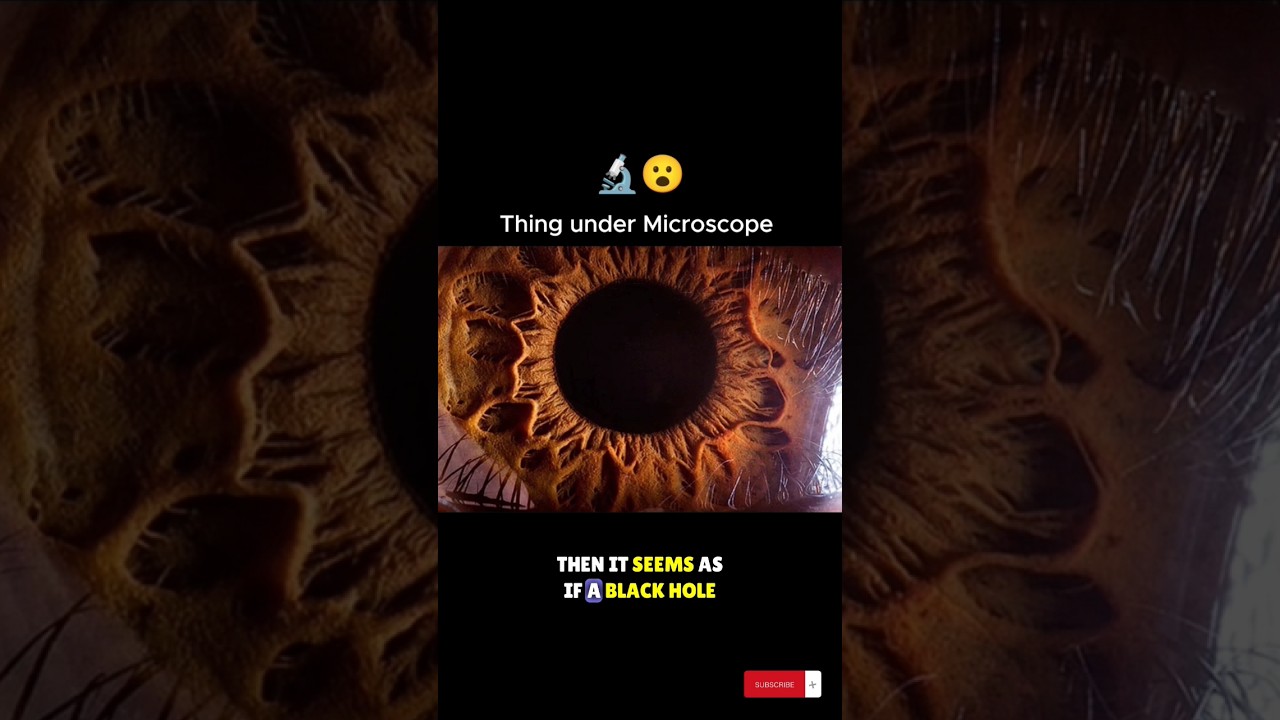 Things under Microscope 😮 | Facts 360 | 