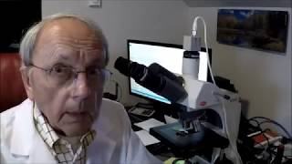 Pathologist and Microscope