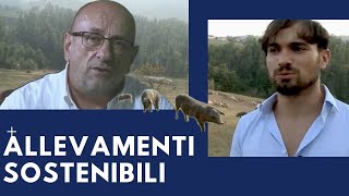 Allevamenti Di Suini Sostenibili