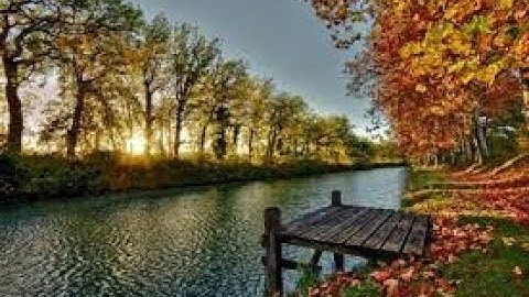 (سورة القيامة) بصوت عذب للقارئ عمر محمد.