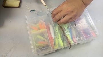 new arrival:worm threader