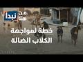 بعد تزايد حوادث العقر… خطة حكومية لمواجهة ظاهرة الكلاب الضالة في الأردن
