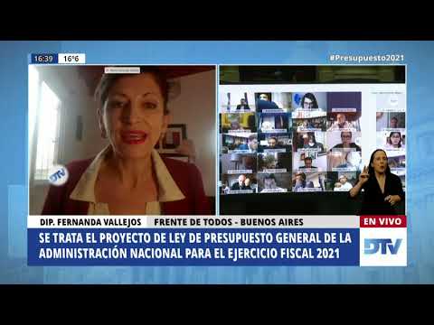 Diputada Vallejos, Fernanda - Sesión 28-10-2020 - PL