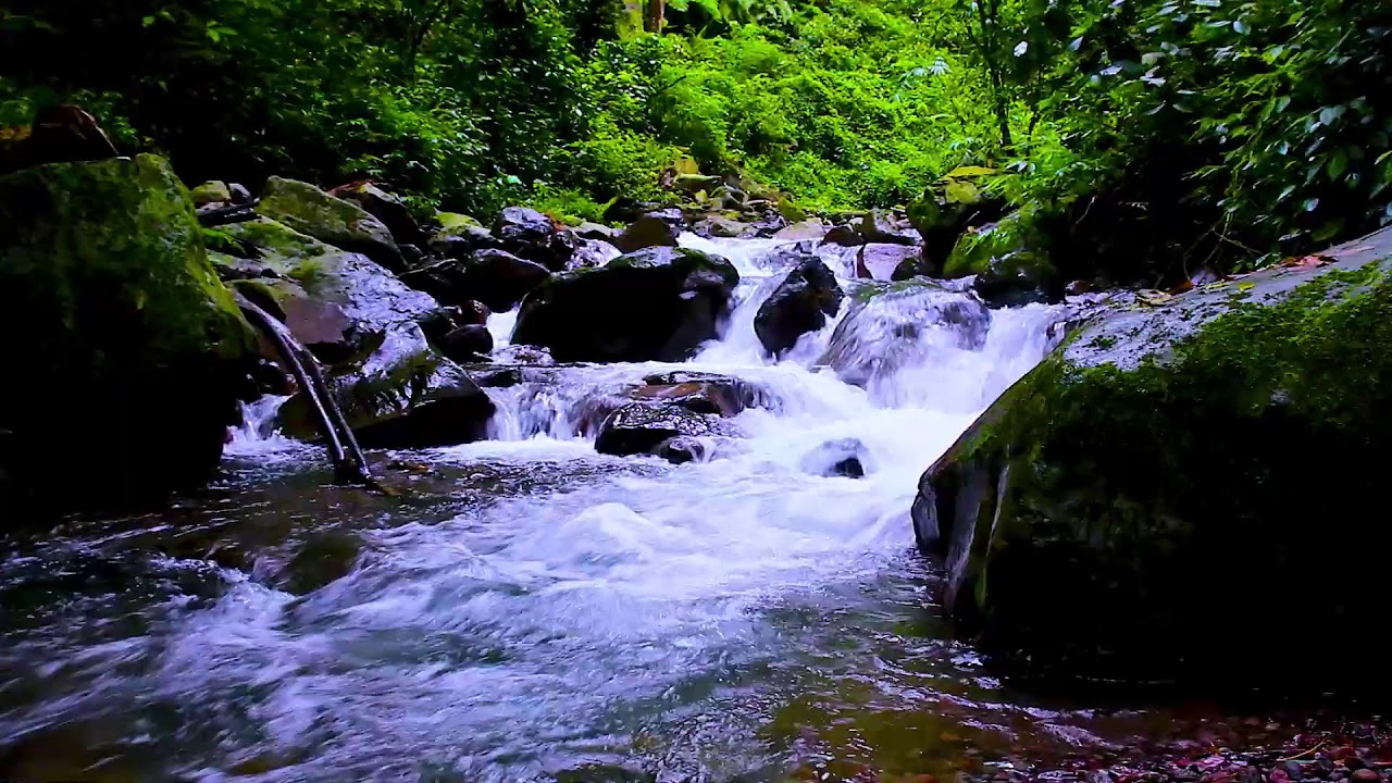 Mountain Stream Quiet Water Rhythm | Forest Calm Flow & Relaxing White Noise