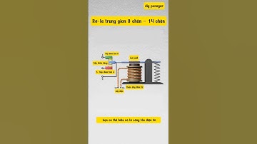 Rơ-le trung gian 8 chân – 14 chân | Cấu tạo, nguyên lý, cách đấu dây