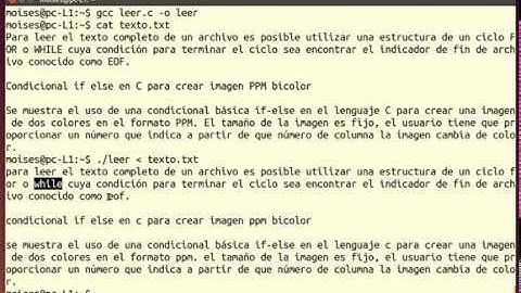 09 Leer archivo de texto y convertir a minúsculas las MAYUSCULAS en C