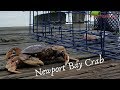 Crabbing the Oregon Coast - Newport Bayfront