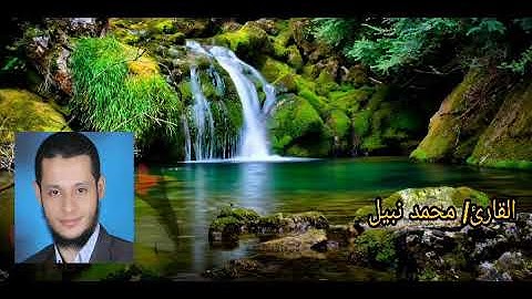 عندما يجتمع الإتقان والآداء مع عذوبة الصوت سورة الواقعة للقارئ الشيخ محمد نبيل