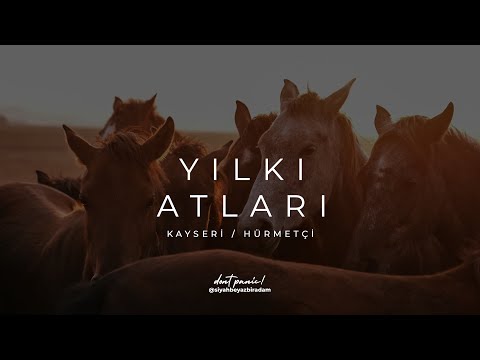 Yılkı Atları Belgesel - Kayseri / Hürmetçi