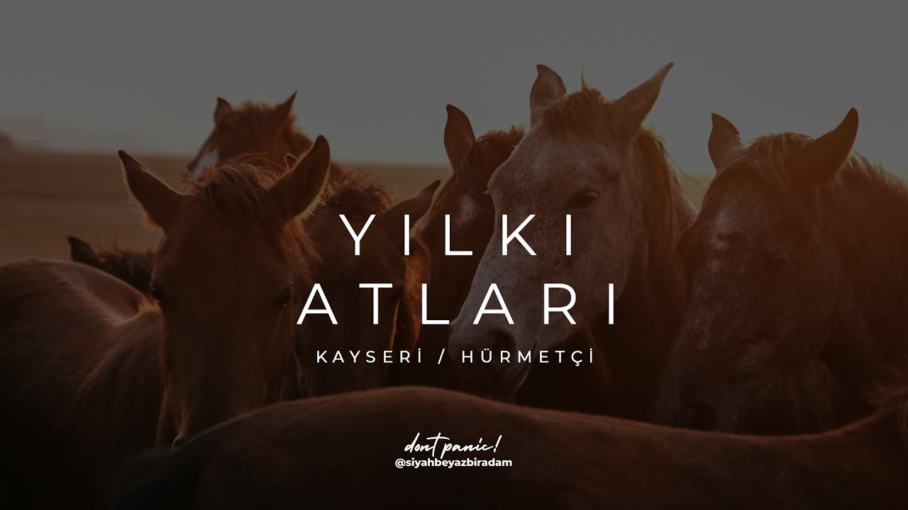 Yılkı Atları Belgesel - Kayseri / Hürmetçi