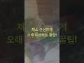 냉장고 채소 이렇게 보관하세요! 안 썩고 오래가는 꿀팁 #채소보관법 #냉장고정리 #생활꿀팁 #주부꿀팁 #식재료보관 #야채보관 #음식보관 #살림정보