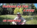 Июньская рыбалка в проводку.