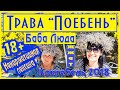 Крым. Коктебель.Трава поебень!!! Исцелит от всех болезней 100%))