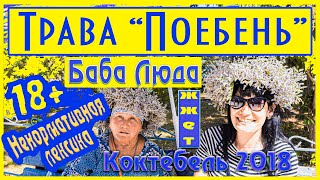 Крым. Коктебель.Трава поебень!!! Исцелит от всех болезней 100%))