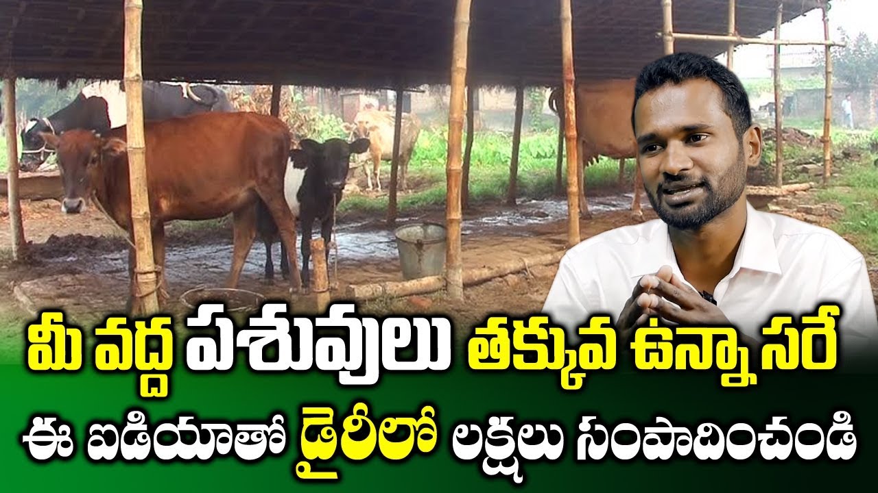 dairy farm business plan in telugu