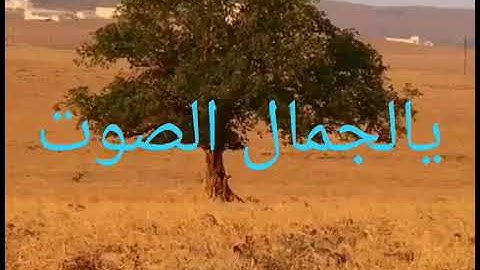 سورة الإنفطار بصوت القارئ ماجد العويري