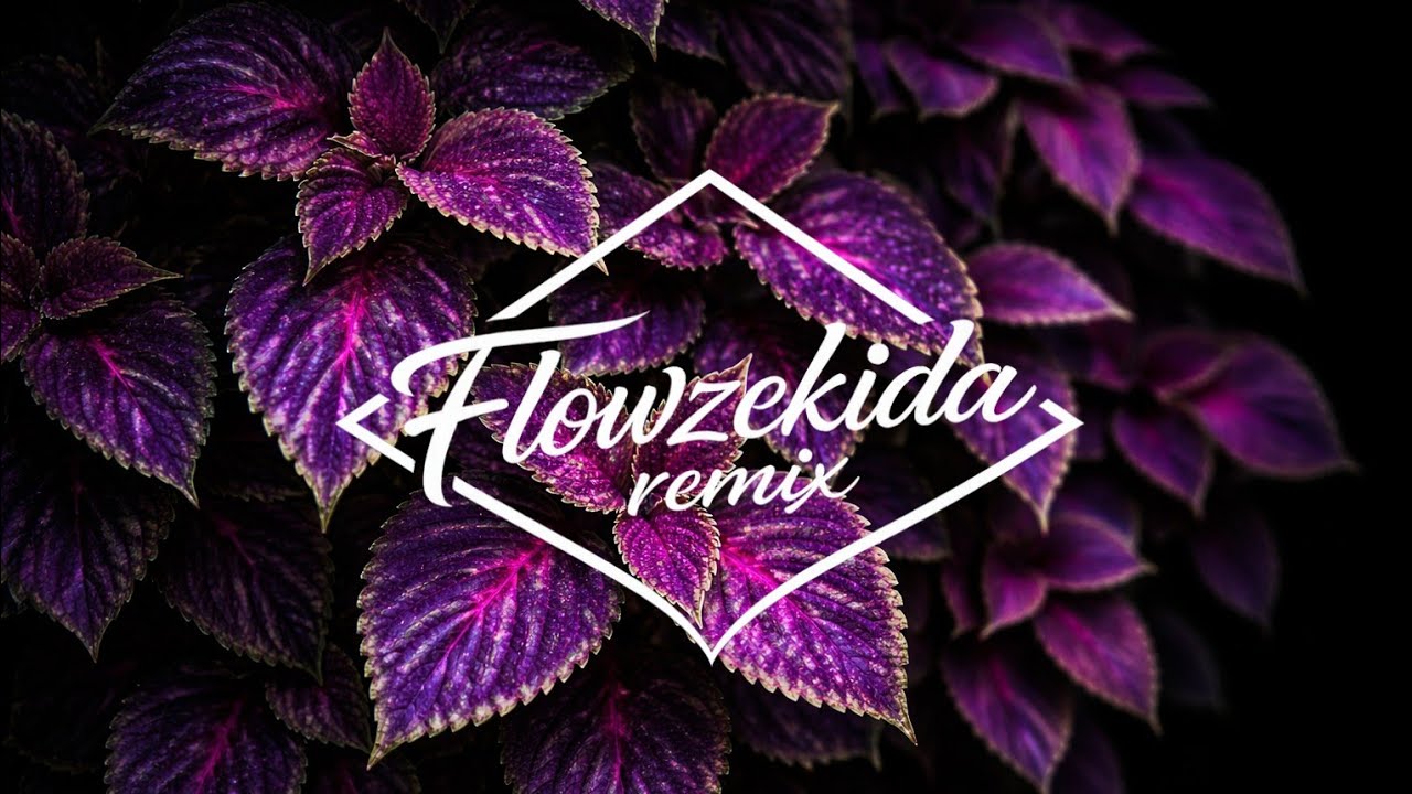 Flowzekida Remix 687 X Bradley Hert - Dear Friend (Tropical Reggea Remix)