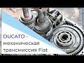 FIAT DUCATO Ремонт КПП, механическая трансмиссия Fiat Ducato