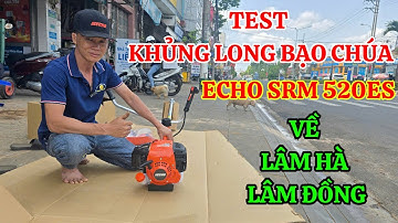 Cắt cỏ Echo srm 520es Made in Japan nhập khẩu nguyên chiếc mẫu vip nhất đỉnh nhất Việt Nam 🇻🇳