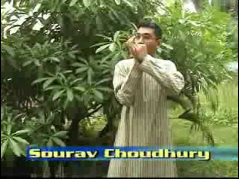Sourav Choudhury Harmonica India