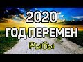 РЫБЫ. 5 УДИВИТЕЛЬНЫХ ПЕРЕМЕН В 2020 ГОД КРЫСЫ. Предсказание таро. Гадание оналйн на картах таро.