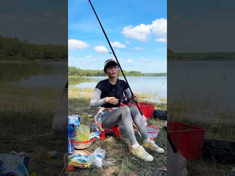 Nghe tin hồ đá bàn cá tra ăn mạnh #fishing #cauca #mayfishing #caucasuoi
