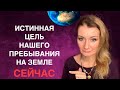 ⭐️ ВЫСШИЕ ПОПРОСИЛИ РАССКАЗАТЬ ОДИН МОЙ СОН (отрывок из видео)