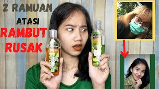 PENTING BANGET LOH !!! KHASIAT MINYAK CEM - CEMAN MUSTIKA RATU