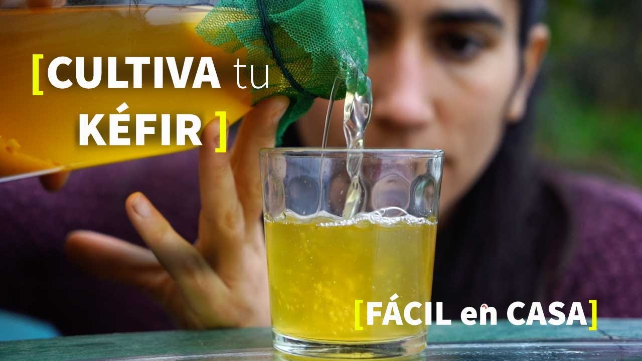 El Kefir de Agua, un refresco saludable