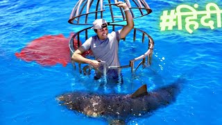 (हिंदी) Shark Attack Test- Human Blood vs. Fish Blood | Mark Rober हिंदी