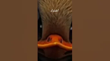 هو انت مين فكرني بيك اسمك ايه علشان نسيت 