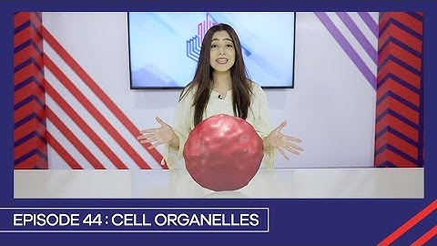 Learn with PGC | Smart Learning EP 44 | Cell Organelles