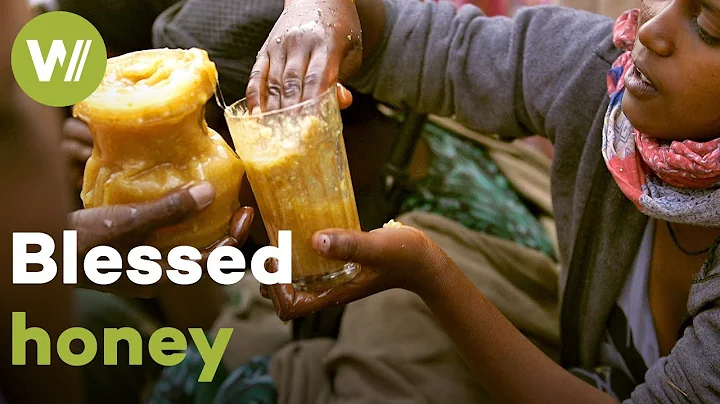 Sacred bees and their honey as a means of livelihood | Master of Bees (Ethiopia)