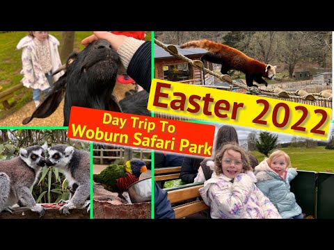 Our Easter Holidays 2022 | Day Trip To Woburn Safari Park