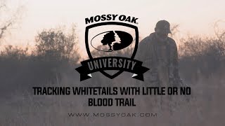 Tracking Whitetails with Little or No Blood Trail