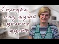 Селедка под шубой, делаем рулет