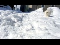 ポメラニアンをさがせ! Find pomeranian!