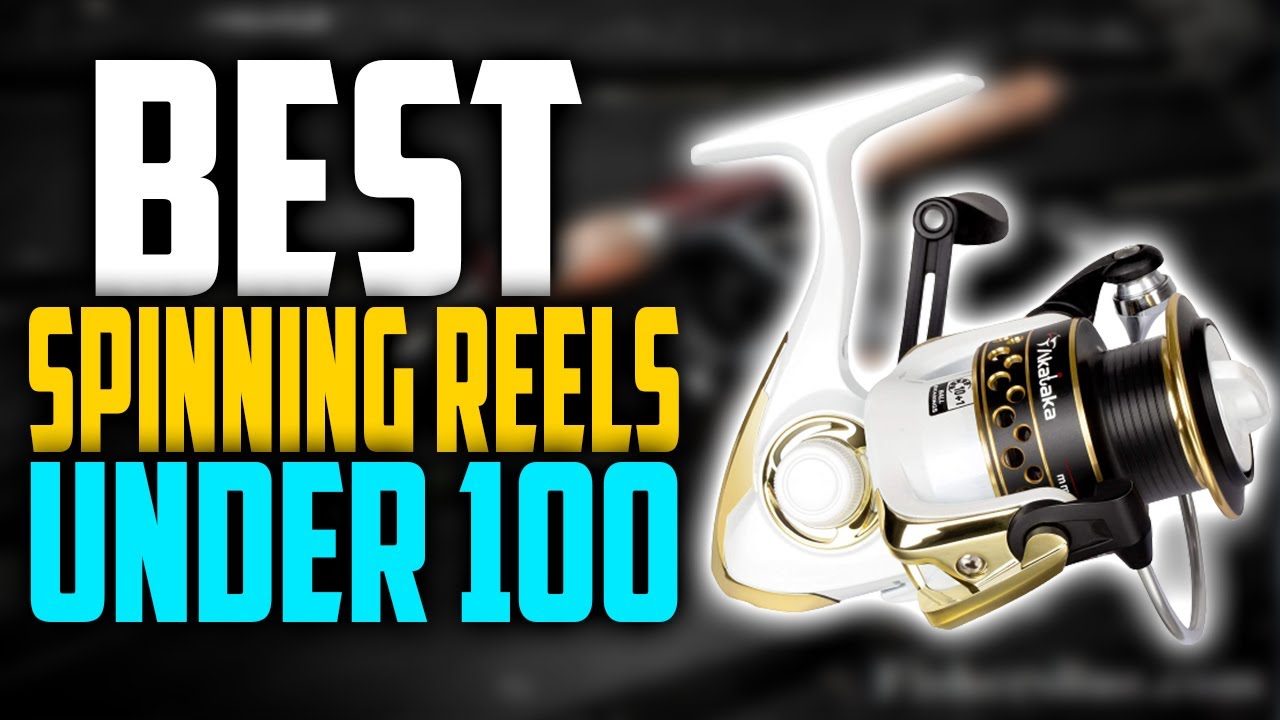 ✓Top 5: Best Spinning Reels Under 100 In 2023 🎣 [ Best Budget Spinning  Reel ] 